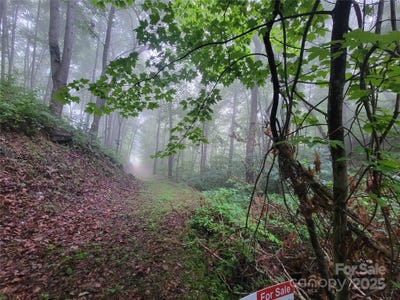 /international/us/2100-chambers-mountain-road-clyde-nc-110092814210/