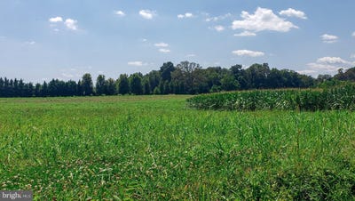 /international/us/14628-old-hanover-road-reisterstown-md-110100392398/