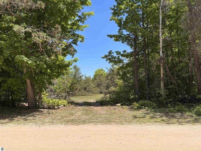 /international/us/99-pine-tree-lane-beulah-mi-110108500940/