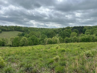 /international/us/co-rd-321-route-5-ava-mo-110107689101/