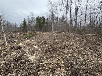 /international/us/698-old-jugornot-road-somerset-ky-110098434432/