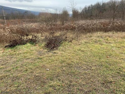 /international/us/e-pleasant-valley-blvd-stad-drive-lot-5-bellwood-pa-110088788260/