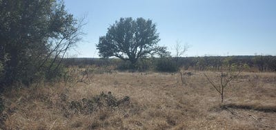 /international/us/54-dry-creek-rd-lot-54-fort-mckavett-tx-110103569512/