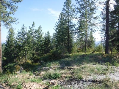 /international/us/lot-5-moose-ridge-way-loon-lake-wa-110101265033/?lang=zh-tw