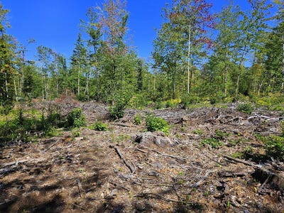 /international/us/cape-cod-hill-road-lot-33-2-new-sharon-me-110119900151/