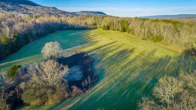 /international/us/mel-dixon-lane-jasper-tn-110104867476/