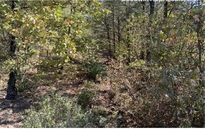 /international/us/0-spring-lake-rd-dardanelle-ar-110102405983/