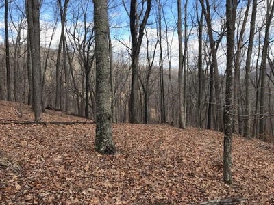 /international/us/35-dogwood-ln-lot-35-monterey-va-110106242388/
