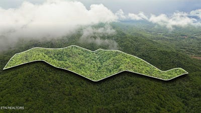 /international/us/201-birch-hollow-rd-maynardville-tn-110099261379/