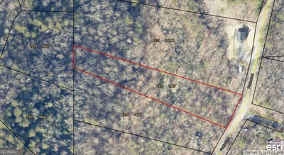 /international/us/1407-foxhound-trail-ne-ranger-ga-110110378708/