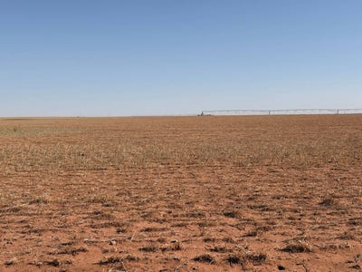 /international/us/249-rosevelt-rd-texico-nm-110108079184/