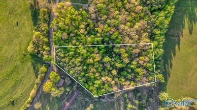 /international/us/5-acres-county-road-48-section-al-110098846929/?lang=zh-tw
