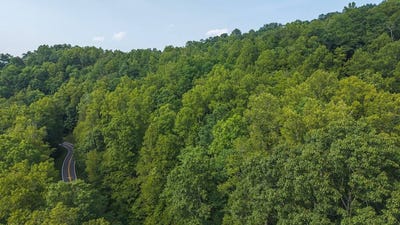 /international/us/tbd-brushy-mtn-rd-moravian-falls-nc-110101071573/?lang=zh-cn