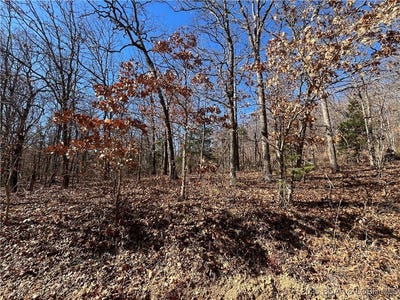 /international/us/lot-207-geranamo-lane-rocky-mount-mo-110096876681/?lang=en