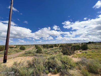 /international/us/2785-old-woodruff-road-snowflake-az-110120537630/