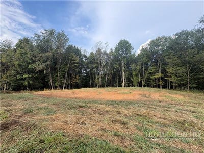 /international/us/fox-trot-lane-lot-26-sparta-nc-110120068327/