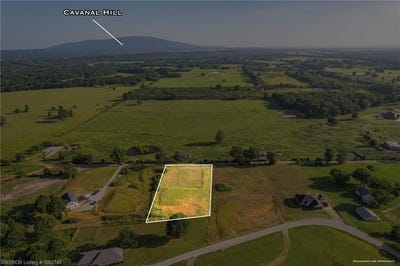 /international/us/tbd-smokey-ln-howe-ok-110101169113/?lang=zh-cn