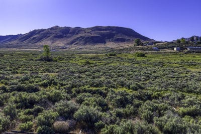/international/us/954-meadow-view-lane-chilcoot-ca-110108494318/