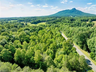 /international/us/flint-hill-lane-pinnacle-nc-110108541259/
