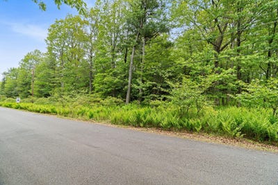 /international/us/683-wild-creek-drive-jim-thorpe-pa-110100158265/