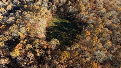 /international/us/2112-county-road-348-thayer-mo-110110143423/