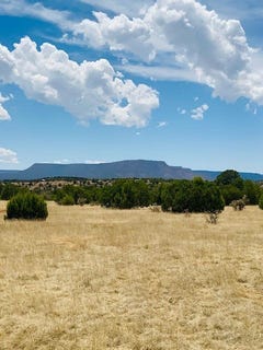 /international/us/16-03-acres-county-road-b55-ribera-nm-110108844207/