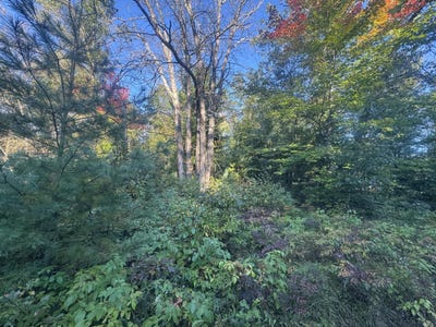 /international/us/aeronca-road-lot-17-luzerne-mi-110120588161/