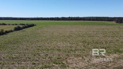 /international/us/5600-block-highway-97-walnut-hill-fl-110103382953/