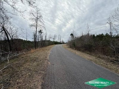 /international/us/0-lock-dam-road-columbia-la-110106186281/