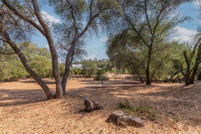 /international/us/285-smith-flat-road-angels-camp-ca-110109803196/