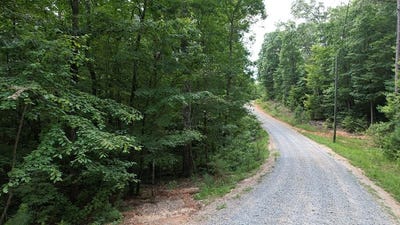 /international/us/lot-159-jumper-drive-ellijay-ga-110101039028/?lang=zh-tw
