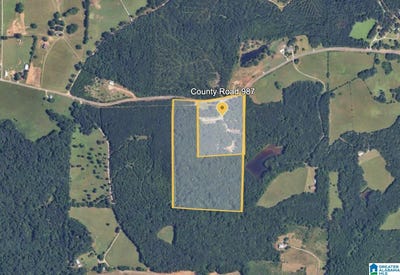 /international/us/0-county-road-46-montevallo-al-110100412703/