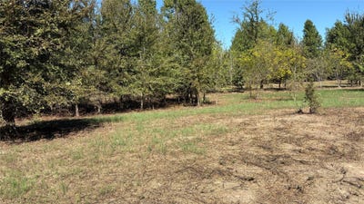 /international/us/920-county-road-1226-quitman-tx-110120132072/