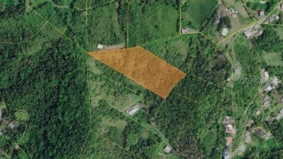 /international/us/pr-172-km-10-2-rio-abajo-ward-lot-e-cidra-pr-110101338703/?lang=en