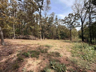 /international/us/cato-road-north-little-rock-ar-110120016917/