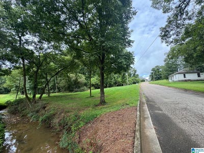 /international/us/5th-avenue-lot-1-6-acres-ashland-al-110109454137/