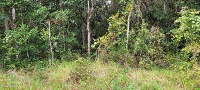 /international/us/0-ridgewood-avenue-deleon-springs-fl-110095347870/?lang=zh-tw