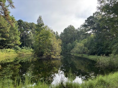 /international/us/0-providence-cir-awendaw-sc-110104546012/