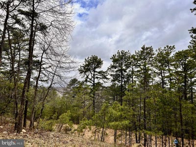 /international/us/lot-82-doe-garden-drive-yellow-spring-wv-110098422274/?lang=zh-tw