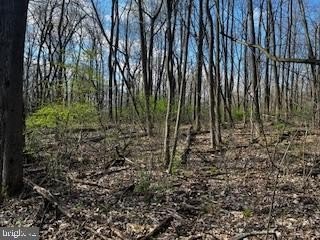 /international/us/0-appleway-saint-thomas-pa-110099016877/