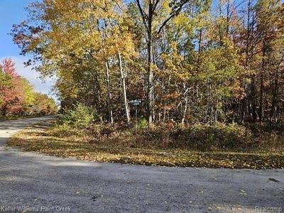 /international/us/devonshire-way-lot-236-oscoda-twp-mi-110103477303/