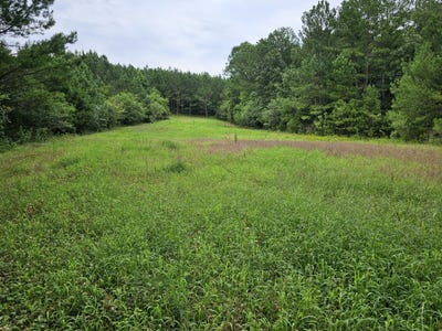 /international/us/tract-15-0-county-road-30-brilliant-al-110093481739/