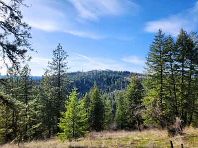 /international/us/4021-bissell-rd-hunters-wa-110108143924/