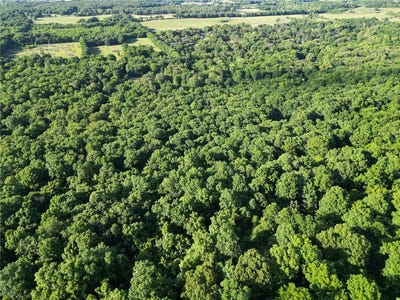 /international/us/whiskey-creek-lane-batesville-ar-110108300851/