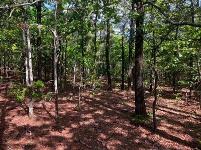 /international/us/bear-creek-road-wister-ok-110107488479/
