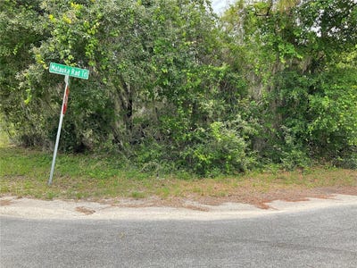/international/us/tbd-lot-59-malauka-radial-trail-ocklawaha-fl-110100401262/?lang=zh-cn