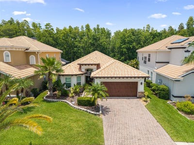 /international/us/10880-cory-lake-drive-tampa-fl-110100188510/