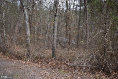 /international/us/tbd-cottonwood-rd-mount-jackson-va-110090466960/?lang=zh-cn