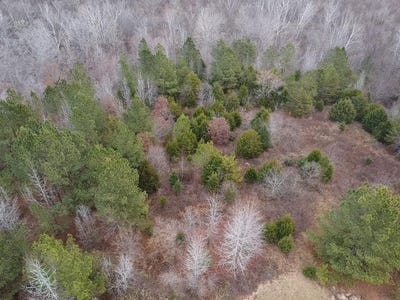/international/us/4-31-ac-wellspring-lane-south-boston-va-110104054274/