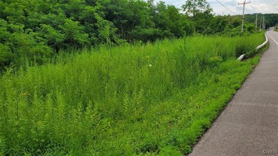 /international/us/00-herman-road-camillus-ny-110100971949/